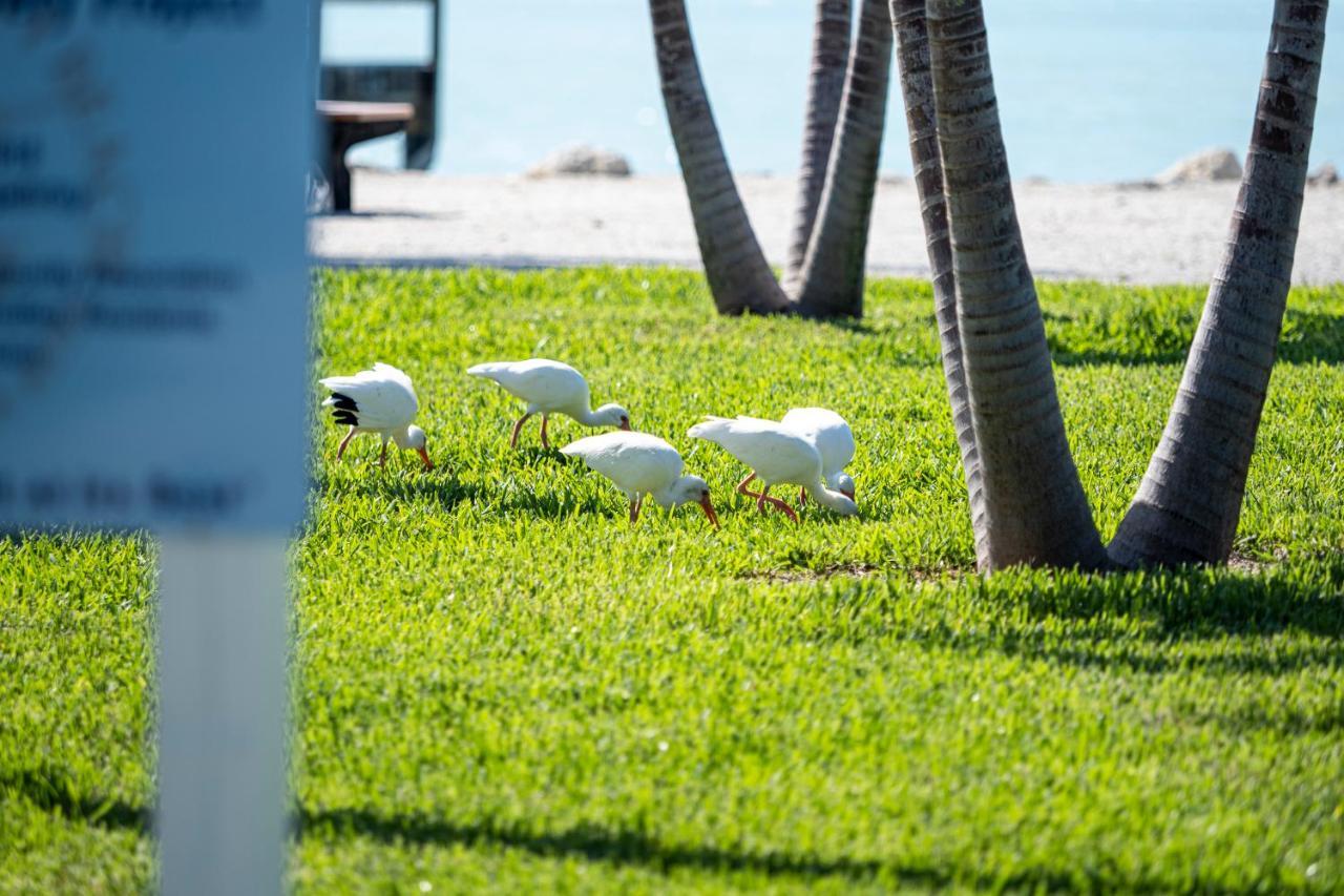 Vila Newly Renovated 3Br2Ba Duplex With Private Dock Key Colony Beach Exteriér fotografie
