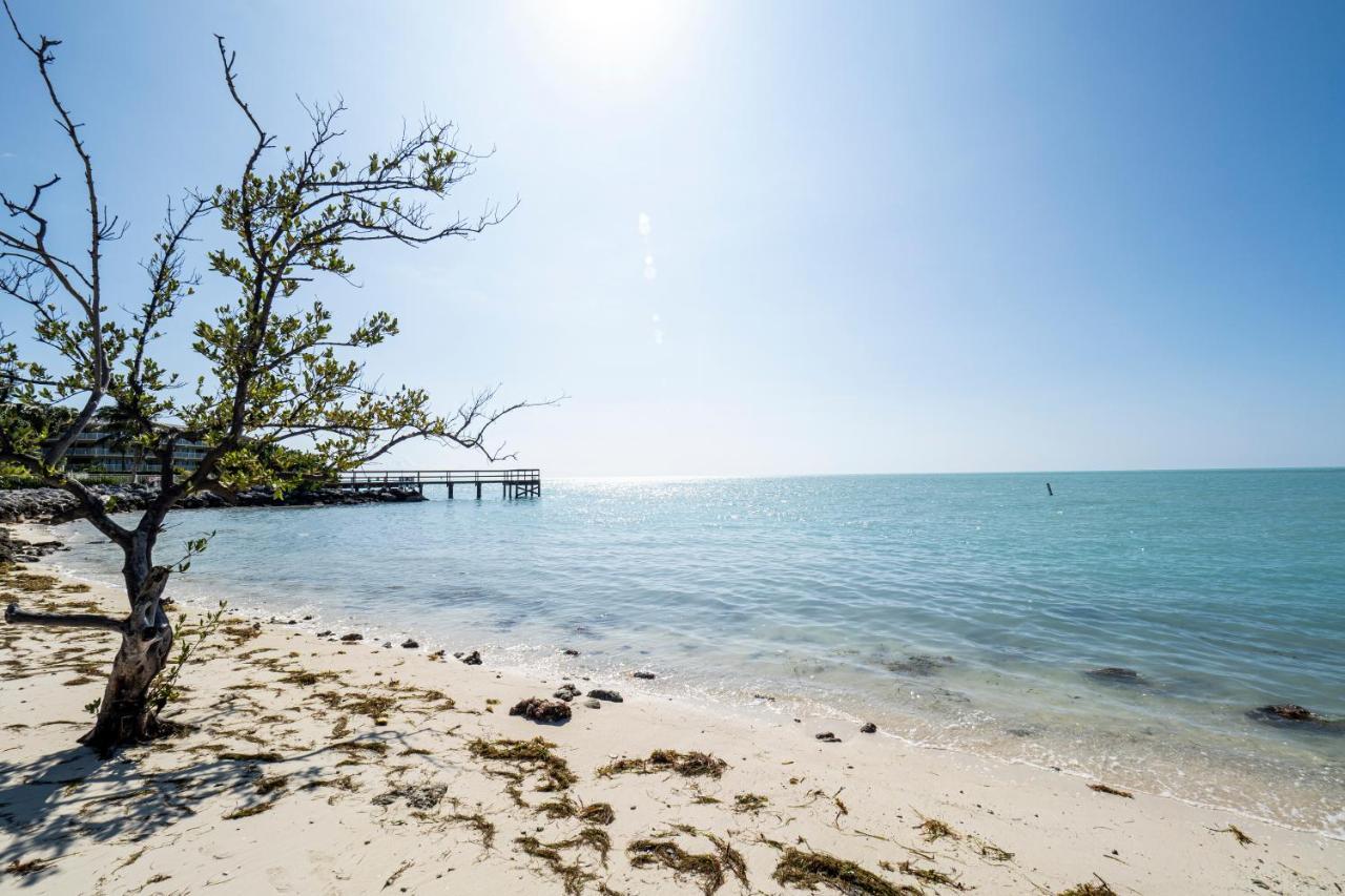 Vila Newly Renovated 3Br2Ba Duplex With Private Dock Key Colony Beach Exteriér fotografie